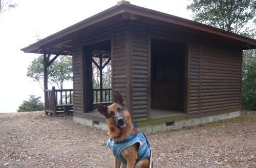 P1050396.jpg
