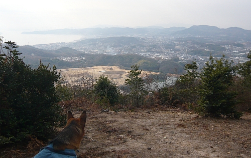P1050397.jpg