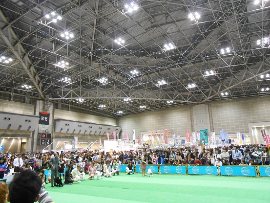 DSCN0395.jpg