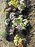 130307_102437.jpg