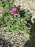130307_102503.jpg