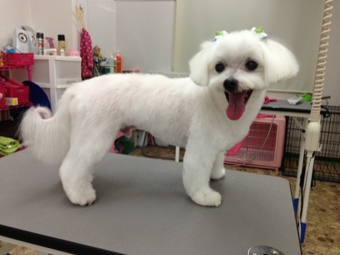 image_20121107115601.jpg