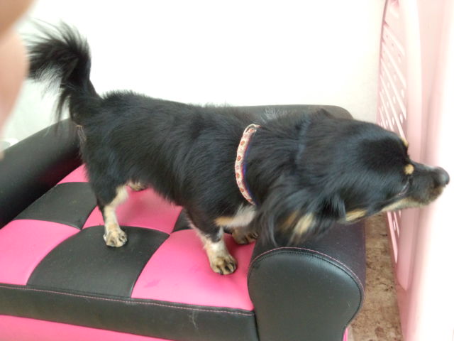 rps20120903_154822.jpg