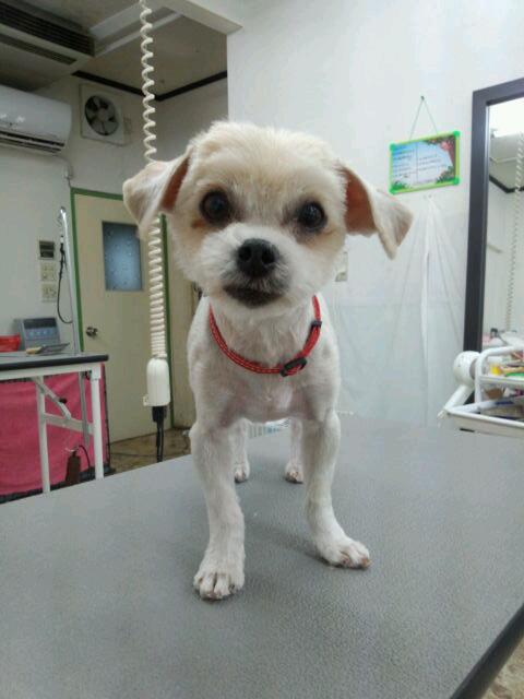 rps20120903_154840.jpg