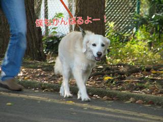 じん