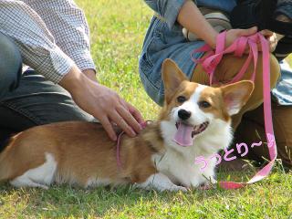 クルトン笑顔