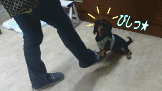 ころも3