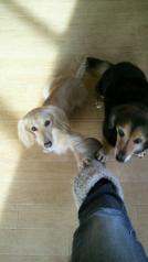 2012110814120000.jpg