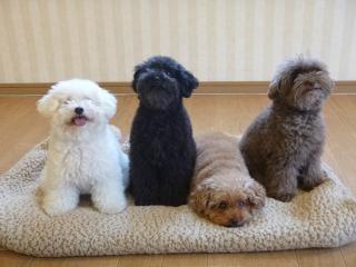 ちびっこマット