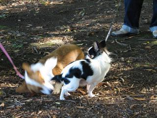 IMG_0007.jpg