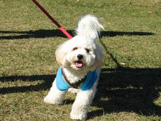 IMG_0017.jpg