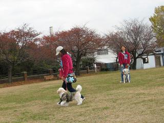 IMG_0039.jpg