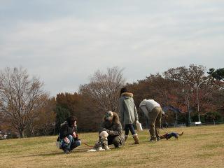 IMG_0059.jpg