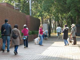 IMG_0069.jpg