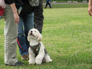 IMG_0181.jpg