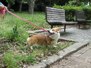 IMG_0182.jpg