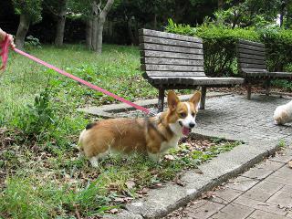 IMG_0183.jpg