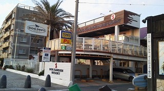 P1000485.jpg