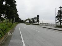CIMG0207.jpg