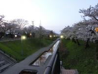 CIMG0314.jpg