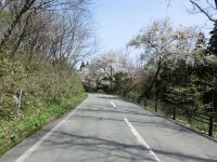 CIMG0381.jpg