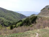 CIMG0483.jpg