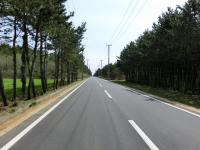 CIMG0510.jpg