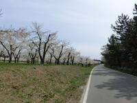 CIMG0514.jpg