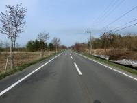 CIMG0529.jpg