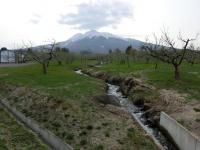 CIMG0539.jpg