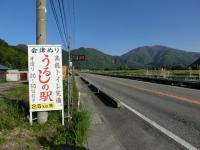 CIMG0709.jpg