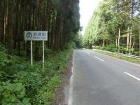 CIMG2115.jpg