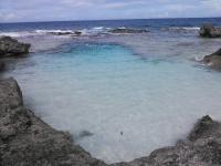 NCM_0232.jpg