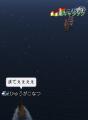 追跡