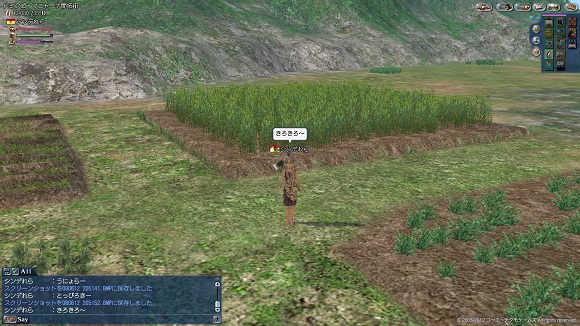 kaitaku_kirokiro.jpg