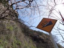 130404_030.jpg