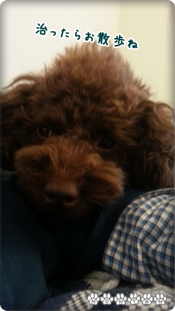 20130406_145110.jpg