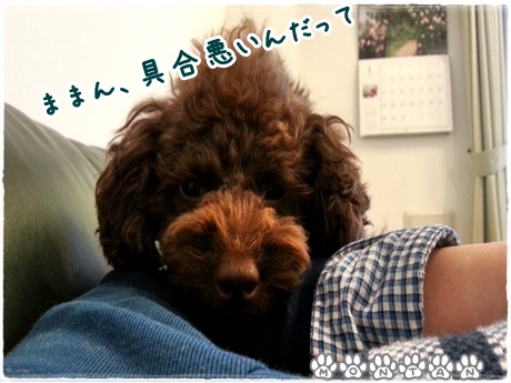 20130406_145126.jpg
