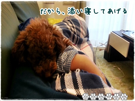 20130406_145333.jpg