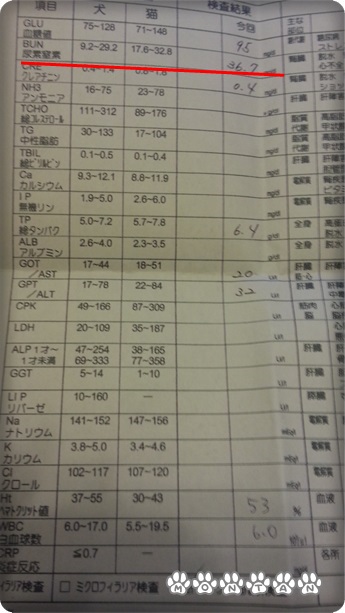 20130413_232718.jpg