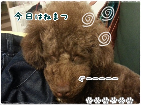 20130413_232900.jpg
