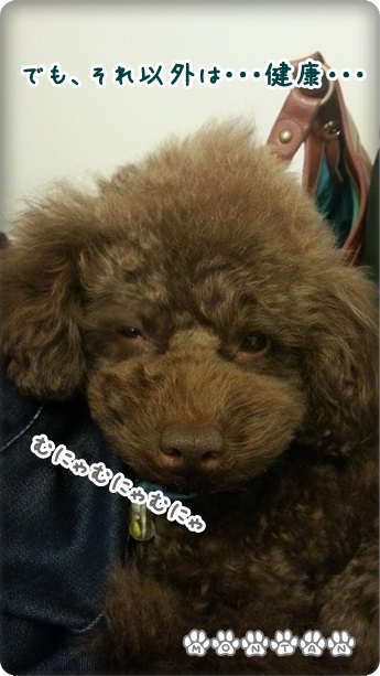 20130413_232946.jpg