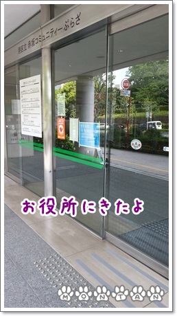 20130501_133217.jpg