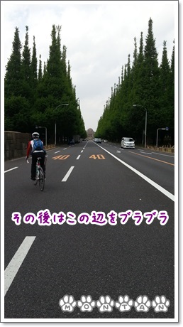 20130501_135626.jpg