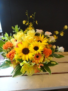 DSC03118.jpg