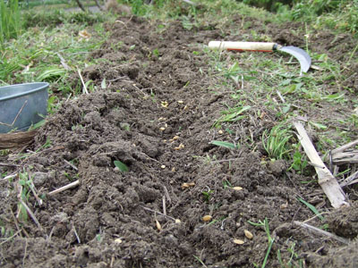 DSCF7581.jpg