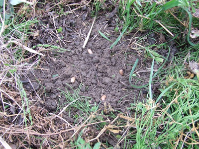 DSCF7584.jpg