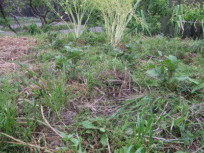 DSCF7598.jpg