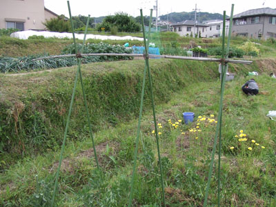 DSCF7676.jpg