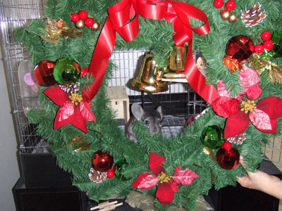 DSCF7936.jpg